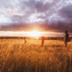 ¿Quiénes son los Green Vivant?