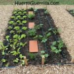 Los 5 artículos más leídos en 2018