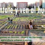 Razones para tener un huerto, cómo acceder a la tierra, y 10 consejos básicos de iniciación.