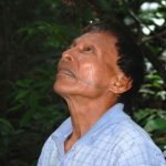 Un libro exclusivo de plantas medicinales gracias a una tribu del Amazonas.