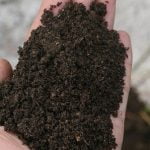 9 consejos útiles para hacer un buen compost.