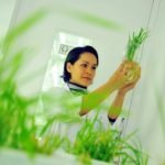 El absurdo desarrollo de la alimentación de los últimos años.