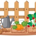 Los 5 Artículos más leídos del 2020